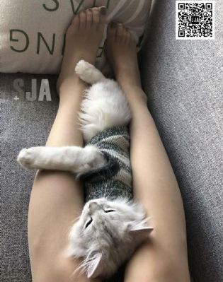 性交HH野外HH胸_HD在线观看