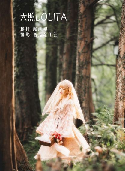 欧美极品videossex少妇_BD电影完整版