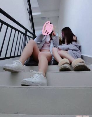 大马配毛驴的视频大全_4K免费观看超清